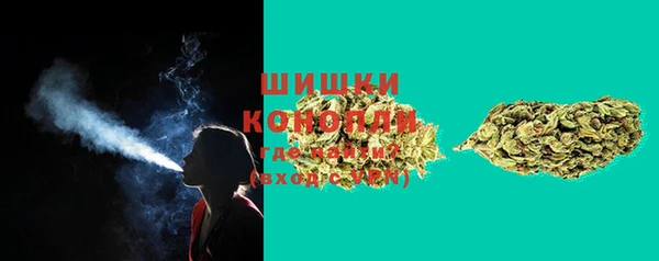 стафф Белокуриха