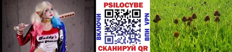 Галлюциногенные грибы Cubensis  Вельск 